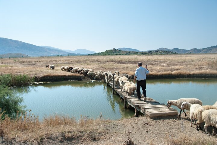 Albania - Butrint and Saranda or Blue Eye: Private Day trip  - Photo 1 of 6