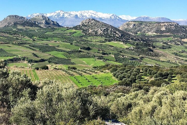 Crete Culinary Journey: Olives, Raki, Archanes Feast Delights - Photo 1 of 21