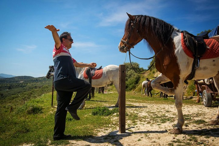 horse riding - training the horse