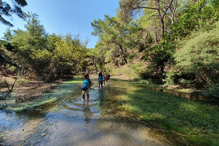 Hiking to the seven springs between olive groves and vegetation from Archangelos - Photo 1 of 19