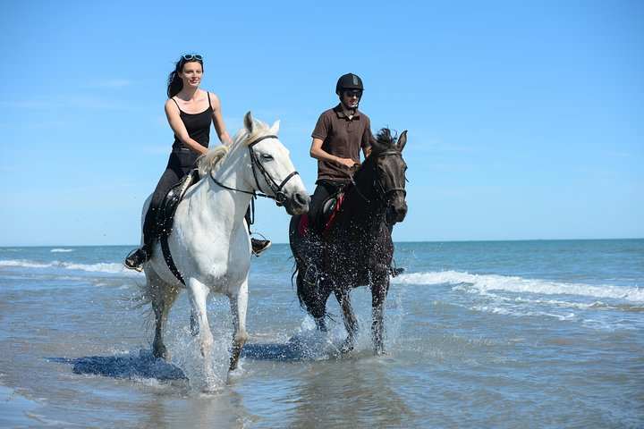 Horse Riding Morning Ride in Paros - Photo 1 of 9