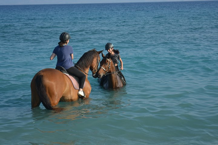 Horse riding on the Beach, Rhodes - Photo 1 of 15