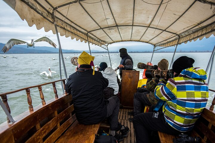 Kingdom of the Pelicans in Lake Kerkini Photography Workshop  - Photo 1 of 6