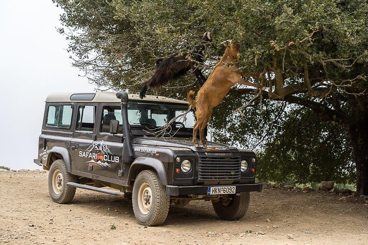 Land Rover Safari Minoan Route with driver and lunch - Photo 1 of 6