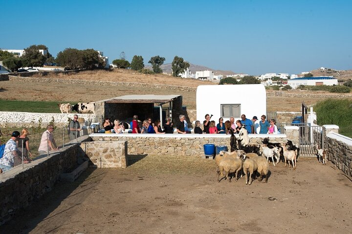 Mykonian Farm Entrance Ticket  - Photo 1 of 19