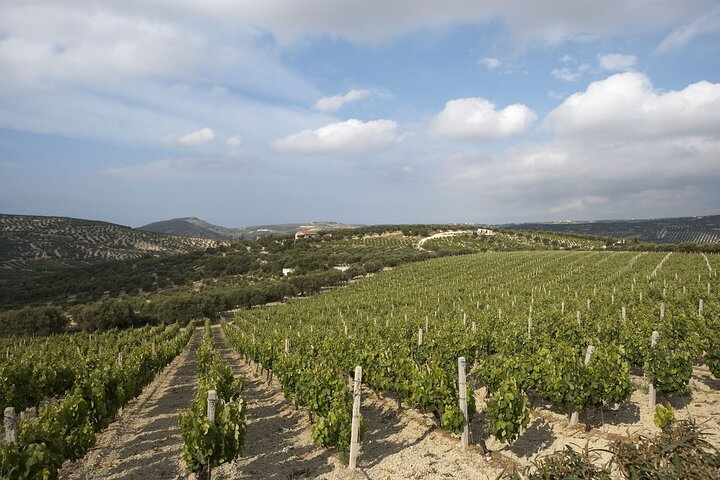 Private Cretan Gastronomic experience Winery visit with Tastings & Cooking Class - Photo 1 of 25