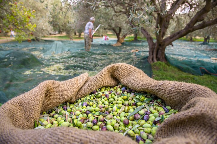 Private Tailored Full-Day Taste Tour in Lefkada with Pick Up - Photo 1 of 8