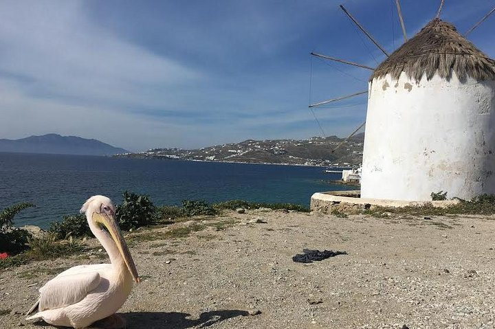 Mykonos Insider