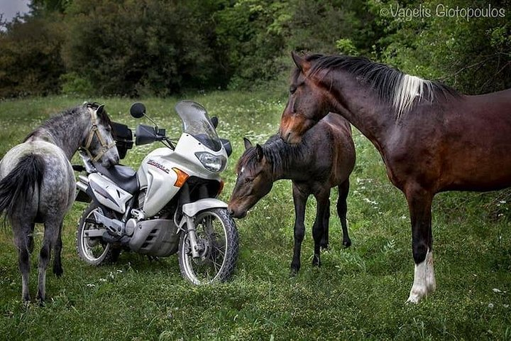 Riders tours (Vikos-Aoos Geopark) - Photo 1 of 9