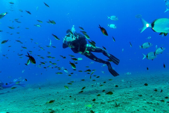 Scuba Diving Experience from Plakias - Photo 1 of 9