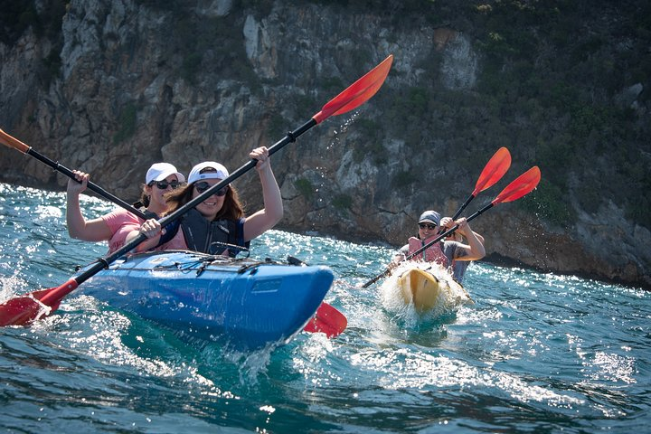 Sea Kayaking in Navarino Bay - Photo 1 of 13