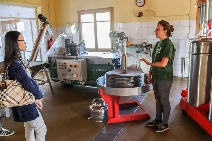 Semi Private Wine, Olive Oil, and Terroir Tour of Heraklion area with Tastings - Photo 1 of 16