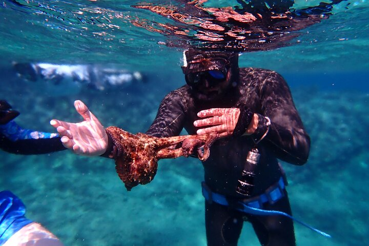 Snorkelling and Freediving experience - Photo 1 of 25