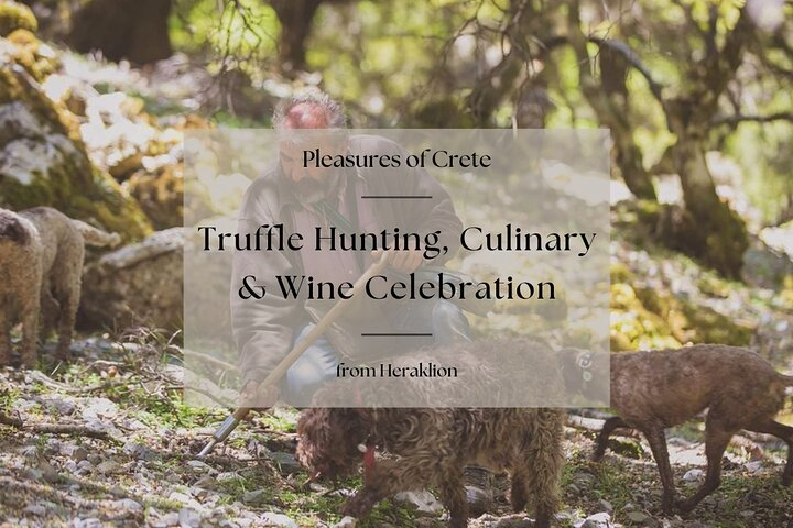 Truffle Hunting, Culinary & Wine Celebration from Heraklion - Photo 1 of 25