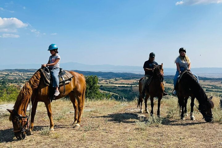 Visit a Farm and Horseback Riding in Nature  - Photo 1 of 12