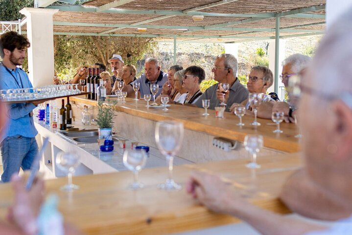 Wine tasting in Rhodes, inside the vineyards with the Producer - Photo 1 of 15