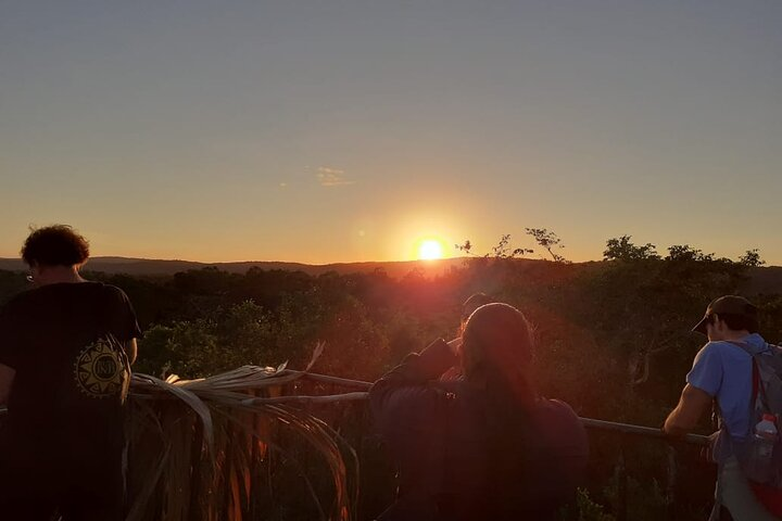 Admire The Sunrise In Tikal - Private Tour From Flores - Photo 1 of 14