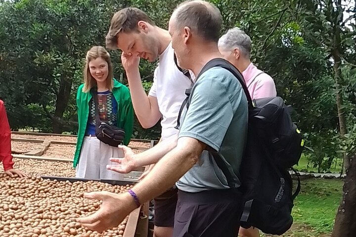 Coffee & Macadamia Fincas Tour  - Photo 1 of 22