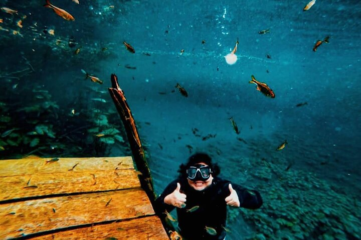 Discover "Crater Azul" & Its Crystal-Clear Waters On A Full-Day Tour From Flores - Photo 1 of 19