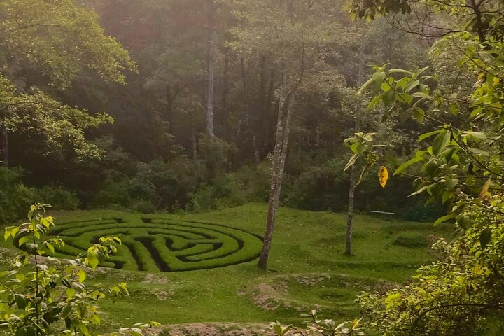 Explore a celtic maze.