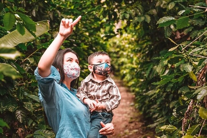 Join an Authentic Coffee Tour at a Coffee Plantation - Half Day Tour From Coban - Photo 1 of 13