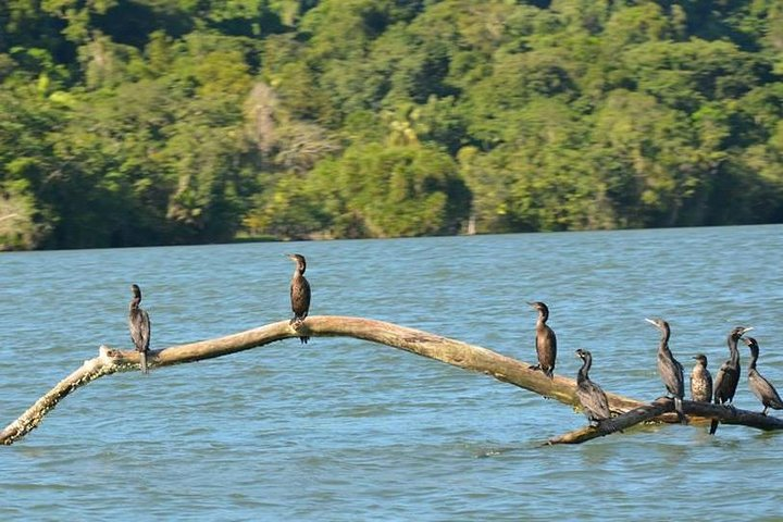 Kayak -Bird Watching Combo Tour from Puerto Quetzal - Photo 1 of 4