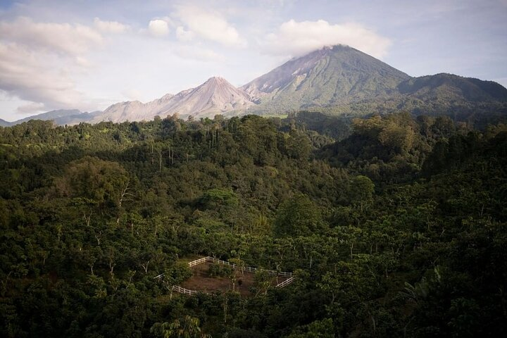 Private Xela Wellness Immersion in Guatemala - Photo 1 of 7