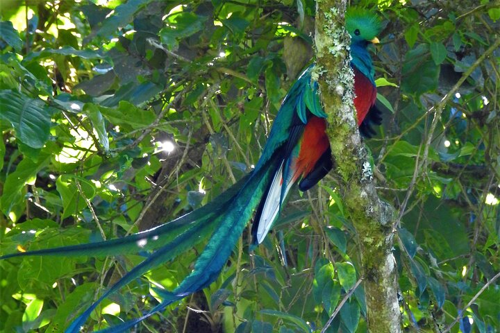 atitlan birding expedition