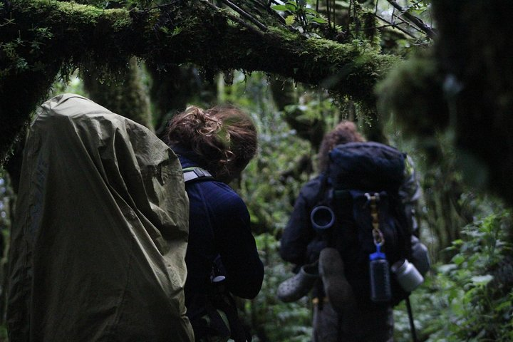 Toliman Volcano Hike  - Photo 1 of 7