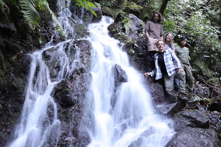 Waterfall Hike - Photo 1 of 6