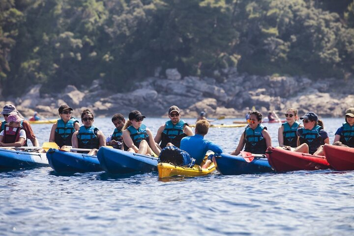 Afternoon Kayaking in Dubrovnik - Photo 1 of 3