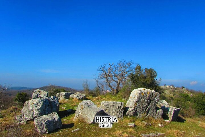 Archaeological tour near Poreč - Photo 1 of 7