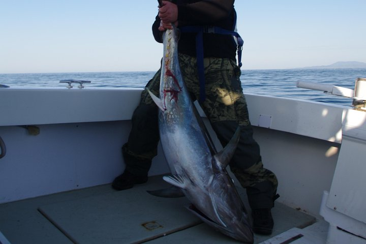 Big Game Fishing Hvar - Photo 1 of 25