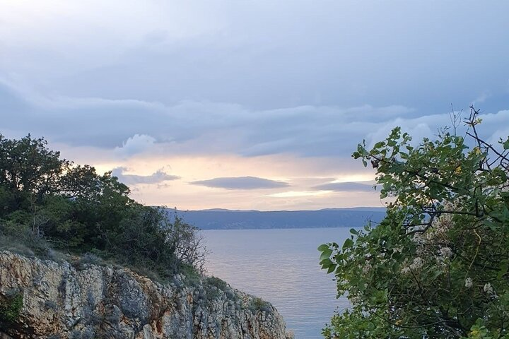 Coastal hiking tour with biologist guide  - Photo 1 of 3