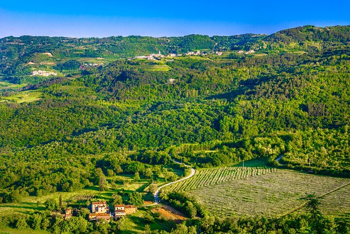 Full-Day Private Istria Wine Tour Experience from Porec - Photo 1 of 6