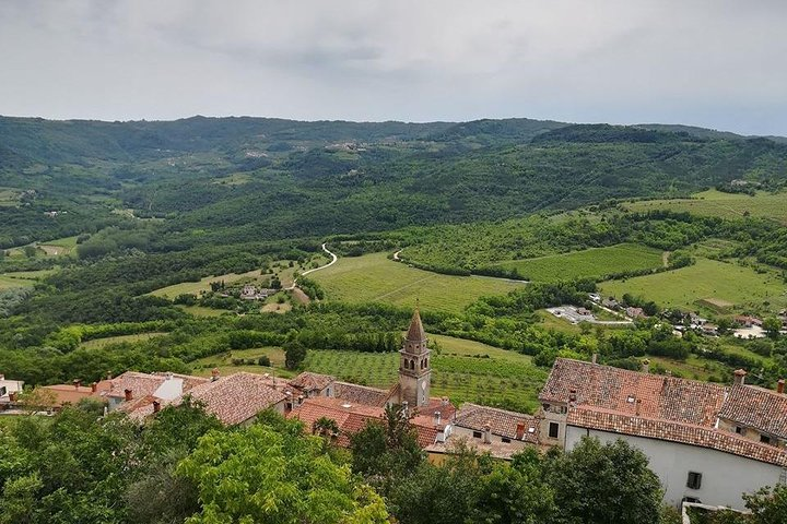 Full day tour of Istria with truffle tasting - Photo 1 of 6