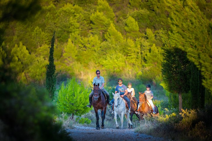 Horseback Riding in Konavle Region with Transport from Dubrovnik - Photo 1 of 11