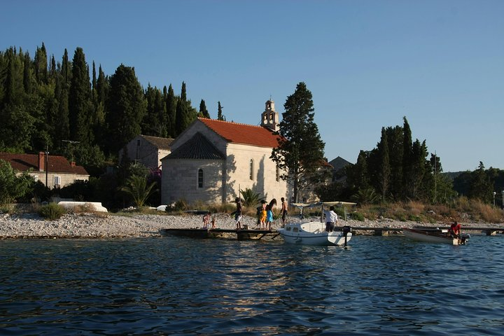 Island Vrnik - Yellow Taxi Cat - Photo 1 of 6