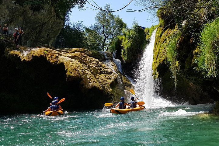 Kayak safari