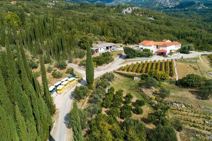 Konavle Tradition & Vines: Brajković Winery Journey - Photo 1 of 25