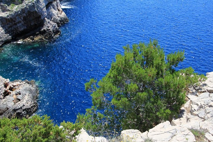 KORNATI by speed boat - Photo 1 of 8