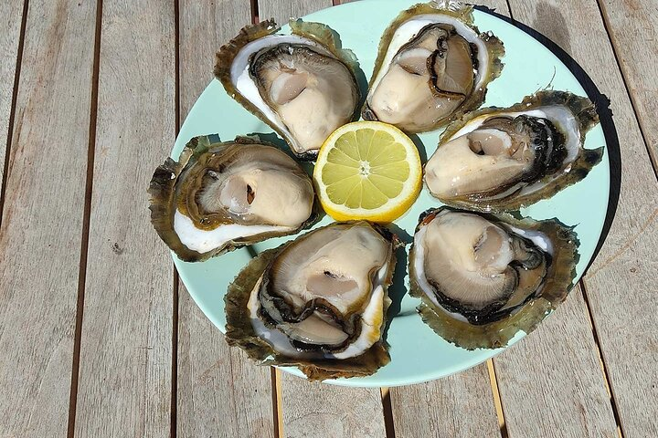 Fresh oysters directly from the sea