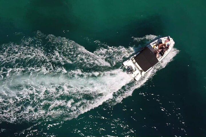 Private Half Day Speedboat tour to Zadar's Nearby Islands - Photo 1 of 25