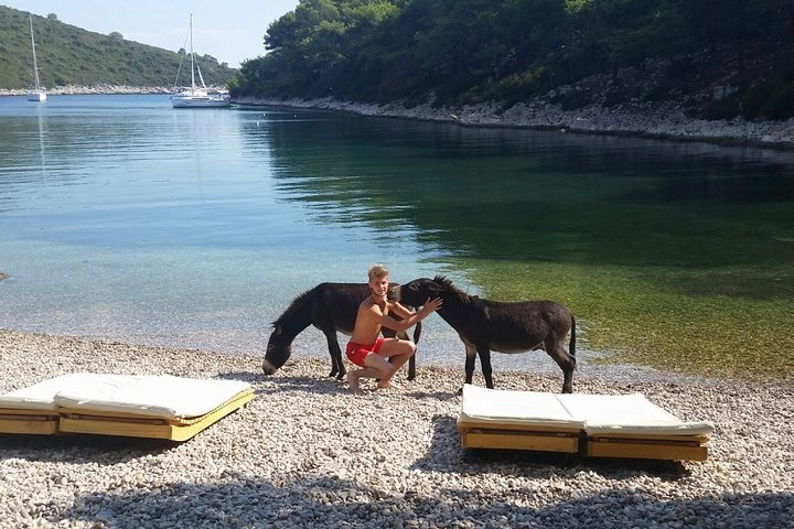 Red Rocks & Southern Side Of Hvar Private Tour - Photo 1 of 8