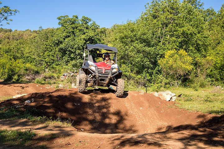 Self-drive Off Road Buggy - Photo 1 of 7