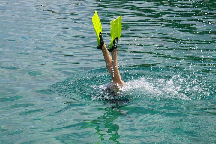 Snorkeling Training - Photo 1 of 3