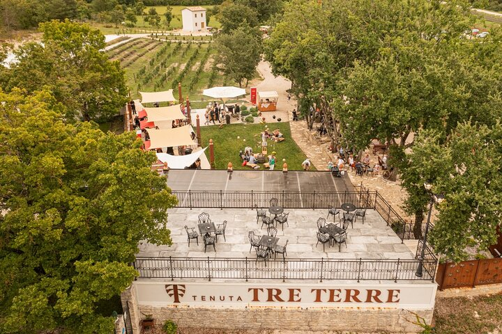 Taste of Istria - wine, brandy, vinegar, local food - Photo 1 of 9