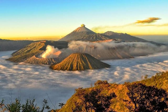 bromo view