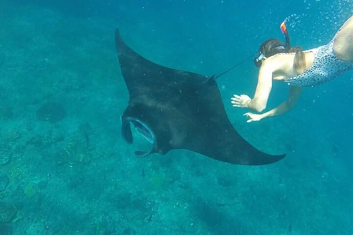 2 day tour and snorkel to meet Manta Rays in Nusa Penida - Photo 1 of 16