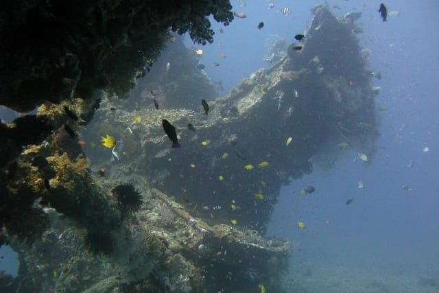 dive on the wreck